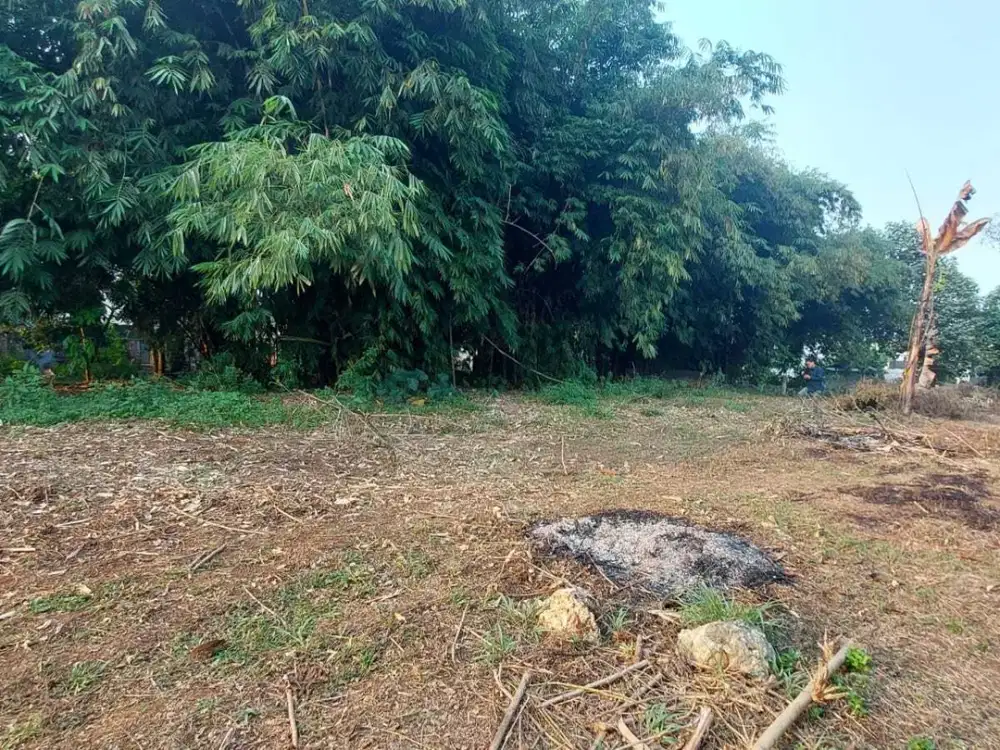 Miliki Kavling SHM Cileungsi – Akses Mudah, Lokasi Berkembang!