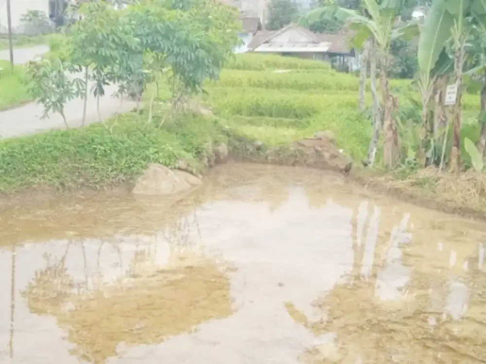 JUAL CEPAT TANAH PINGGIR JL DESA CIMAUNG GUNUNG PUNTANG