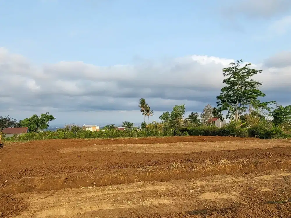 Tanah Kavling Dijual Dekat Ar Rohmah & Kampus UIN 3 Kedokteran Malang