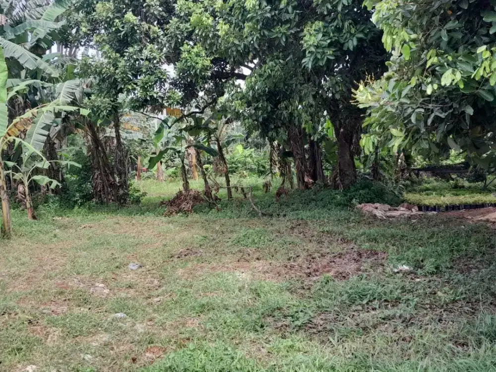 Tanah Kavling Gunung Sindur – Lingkungan Nyaman, Lokasi Menguntungkan!