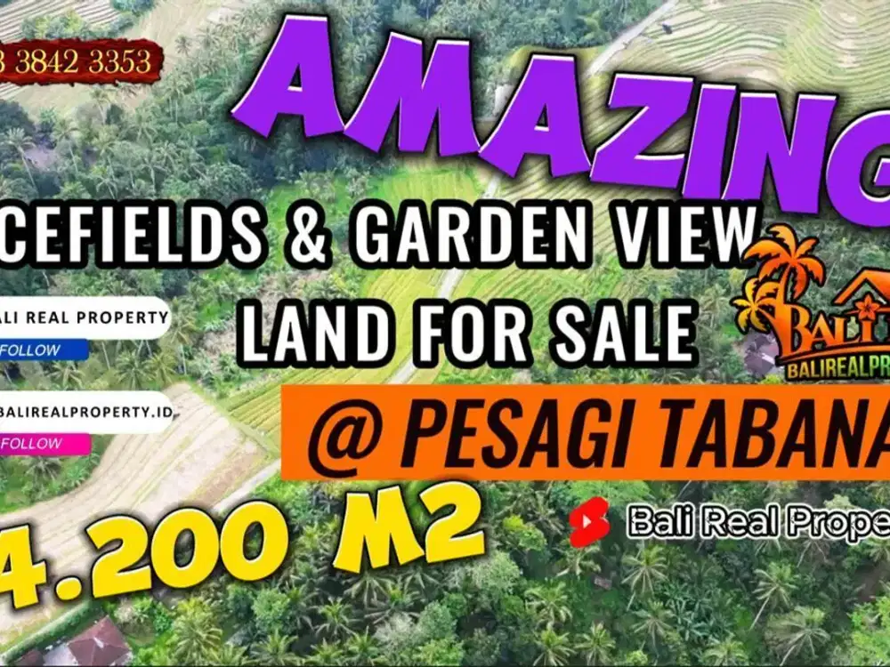 Mostly flat, a bit sloping at the back 5,300 m2 Land sale in Penebel
