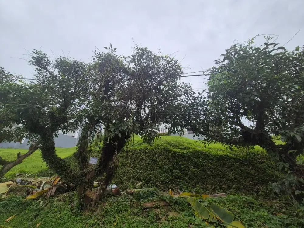 Tanah Ideal Untuk Bangunan Dikawasan Tenang Pondok Hijau, Bandung