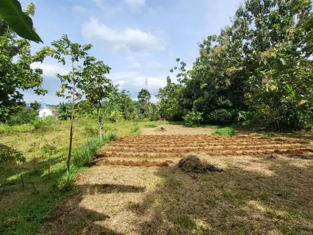 Jual tanah di Rancamaya kota Bogor Jawa Barat