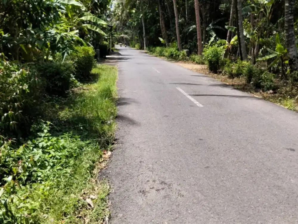 Tanah Murah dekat Balaidesa Bojong