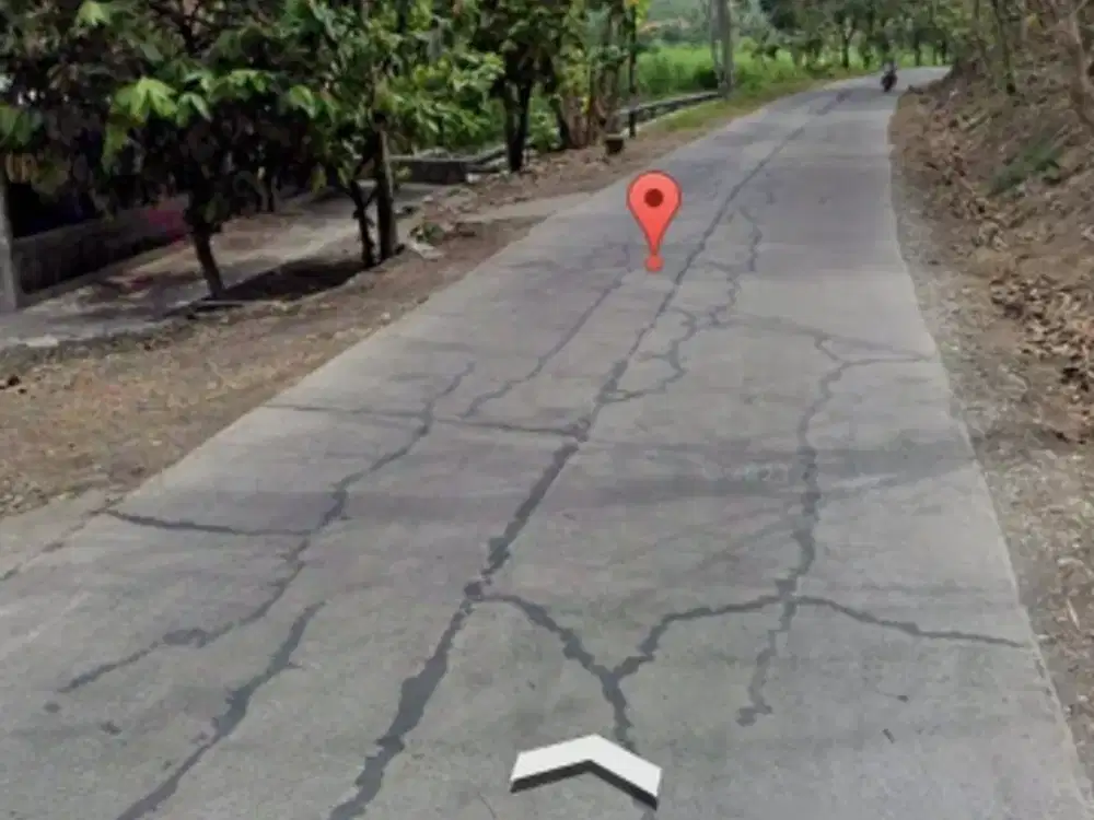 Jual Cepat Tanah strategis view Sawah Utara Pasar clereng