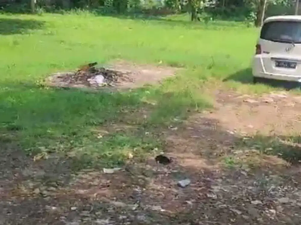 Di sewakan tanah di jln raya Lenteng agung Jagakarsa Jakarta Selatan