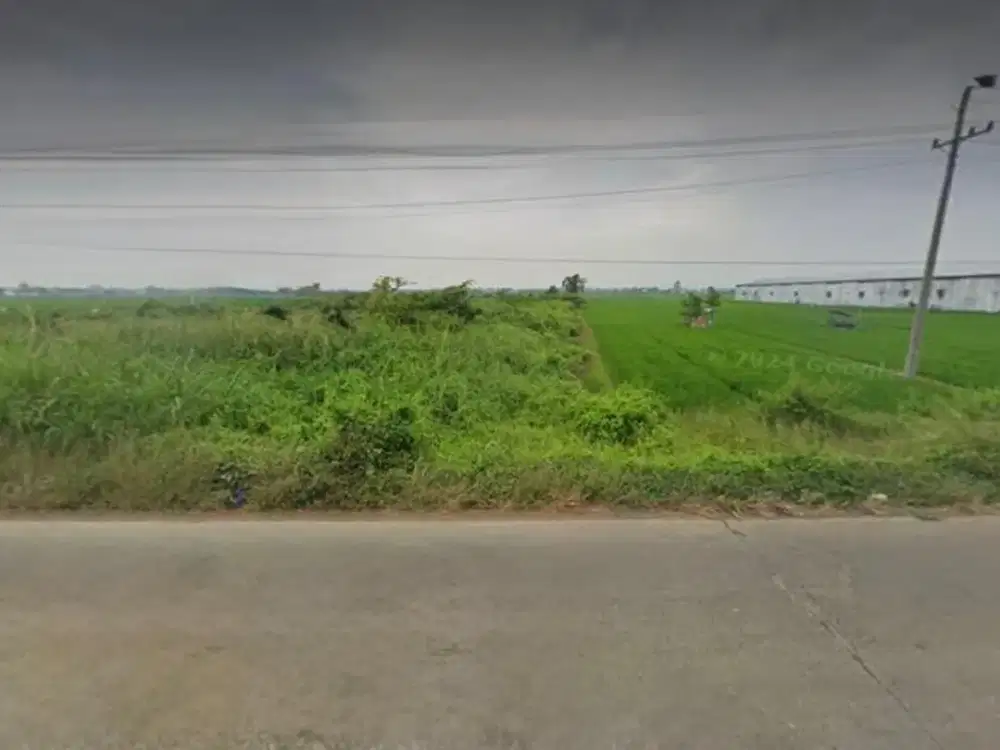 Dijual Tanah Industri di Ds Gondorukem, Lawangrejo, Pemalang  Jateng