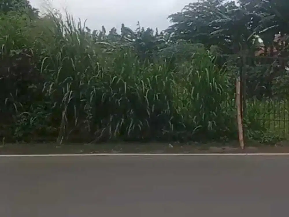 Di sewakan tanah di Jagakarsa Jakarta Selatan