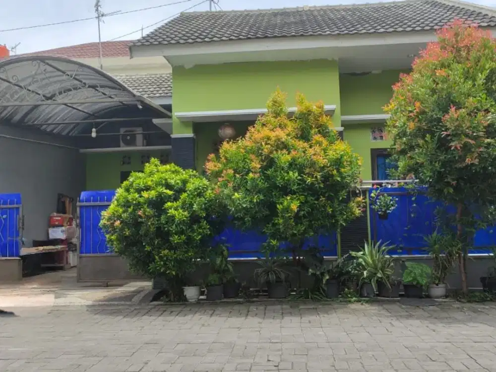 Rumah Nyaman 100m2 Dekat Allana Adi Sucipto