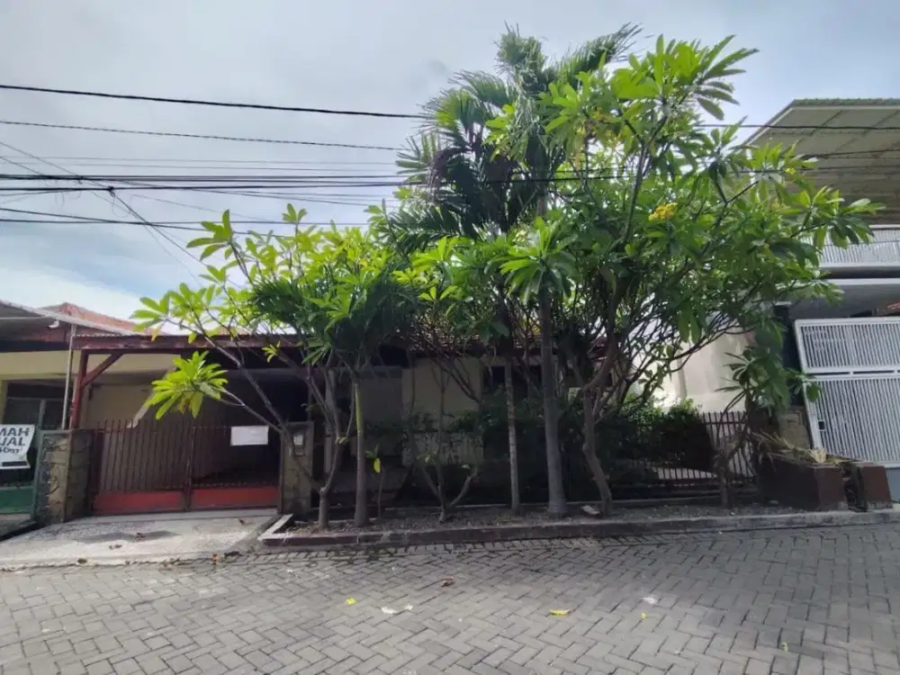 Murah Rumah 1 Lantai Hitung Tanah di Kutisarii dekat Univeristas Petra