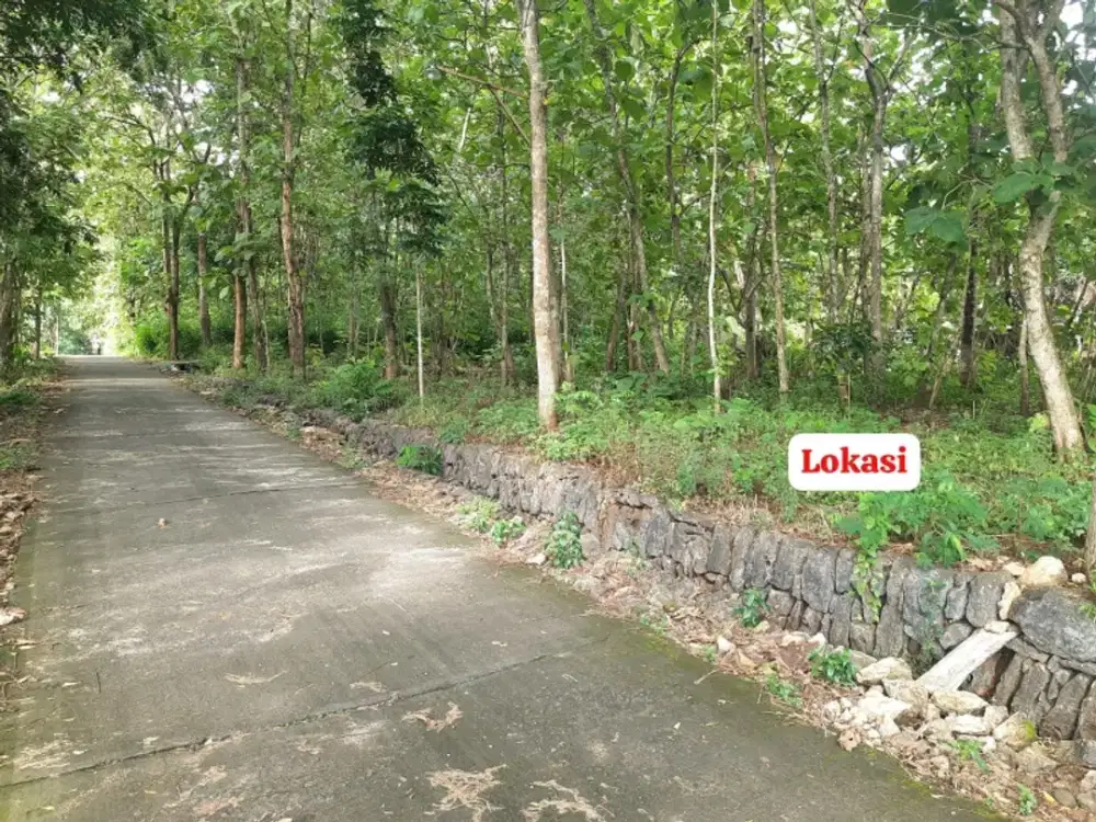 Tanah Murah di Srikayangan Sentolo Kulon progo