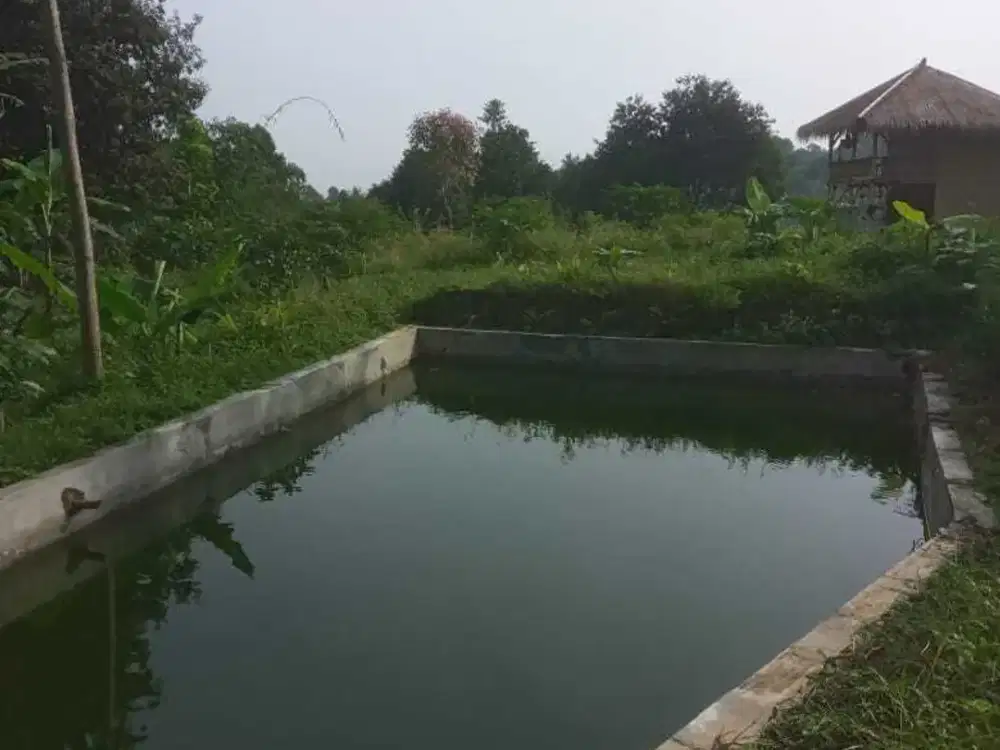 Jual Tanah Murah di Caringin Bogor