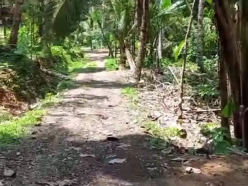 Tanah Murah dekat Bandara YIA