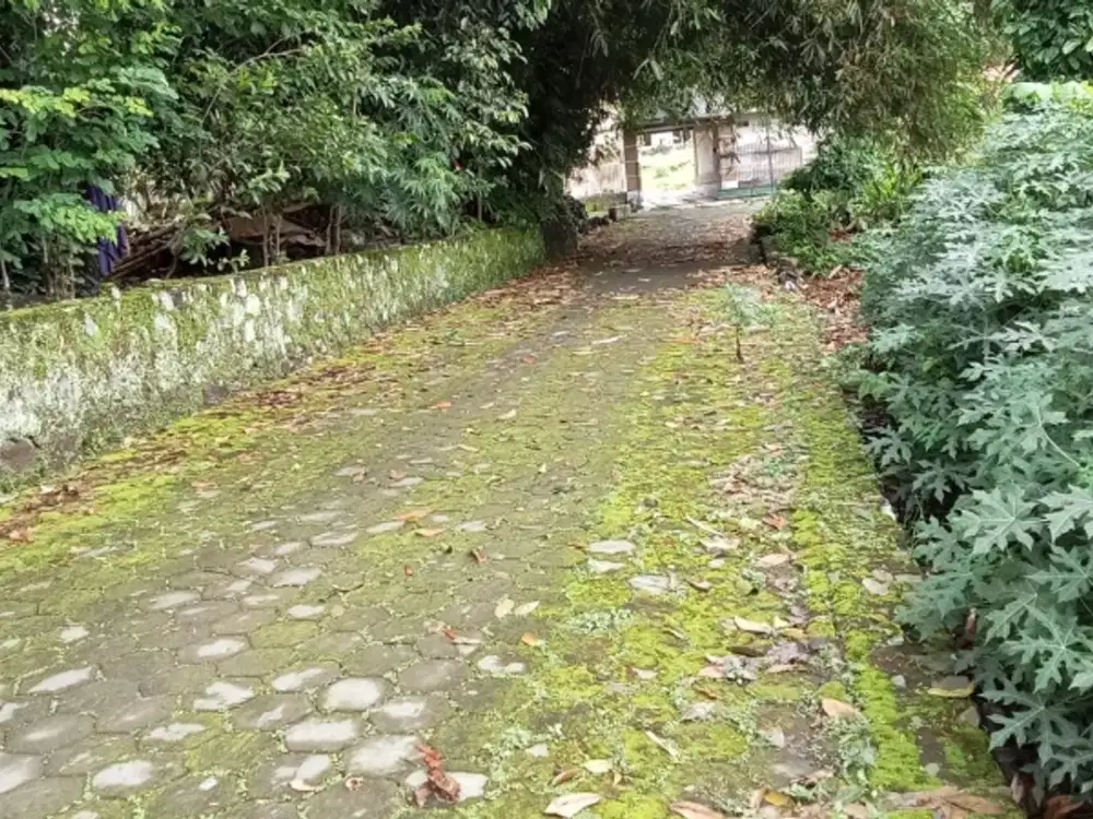 dijual tanah di Purwobinangun, Pakem, Sleman