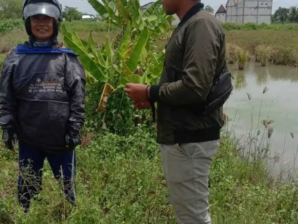 Dijual Tanah, Untuk Investasi Di Desa Buncitan Dekat Griya Tawang Alun