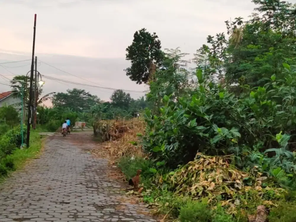 Tanah pekarangan dekat kampus STPN Banyuraden