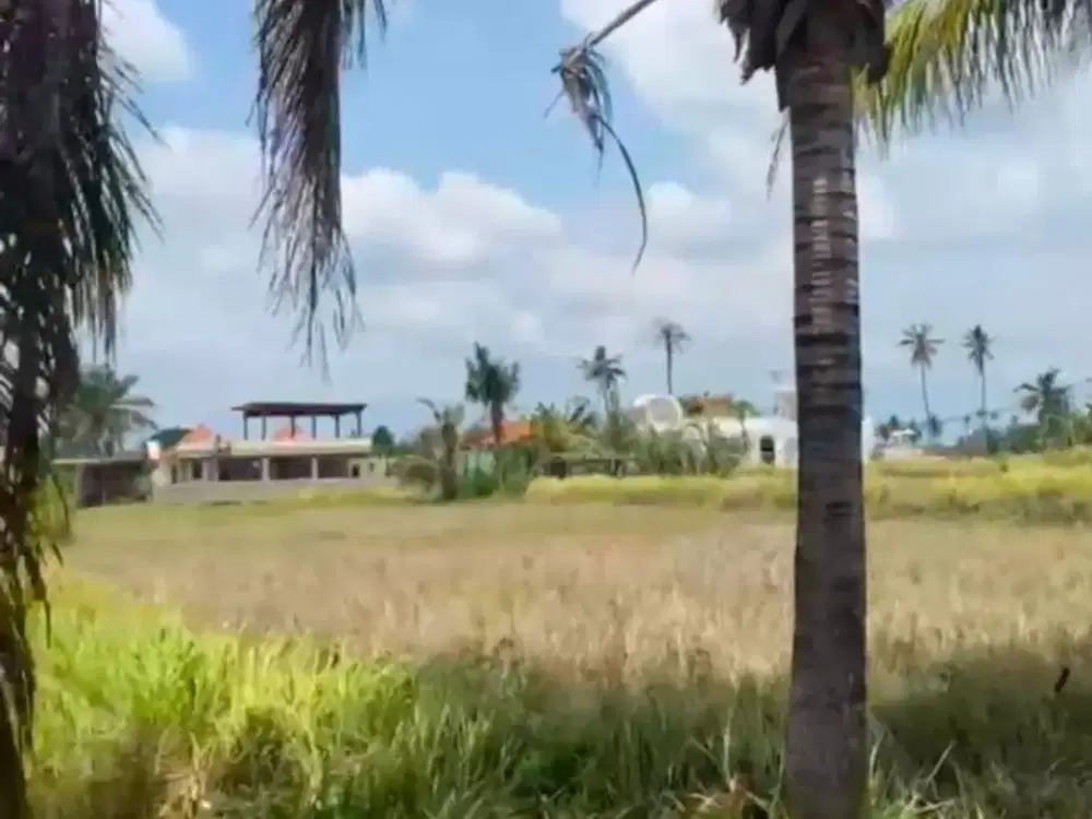 Tanah di Lodtunduh Ubud Bali Strategis Cocok Untuk Usaha