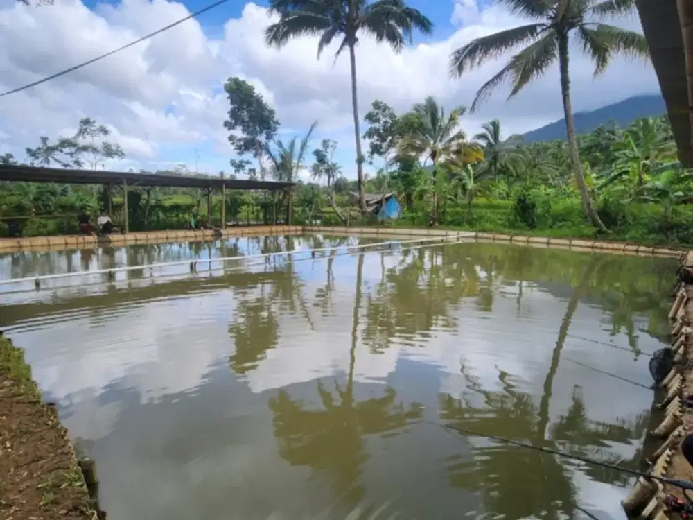 Dijual tanah kolam pemancingan ikan pinggir jalan, 766 m2, SHM