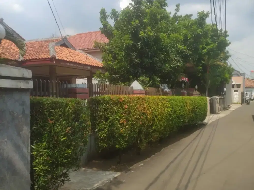 Tanah Murah nego Tanah Baru Depok