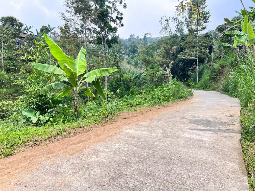 Tanah 300 Juta Kawasan Wisata Candi Sukuh Karanganyar