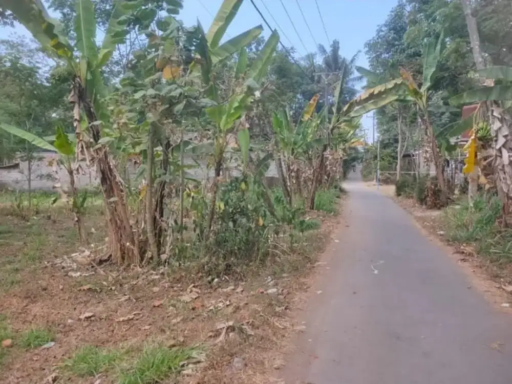 Dijual Tanah 615m2 SHM Belakang PT SCI di Salatiga Jawa Tengah