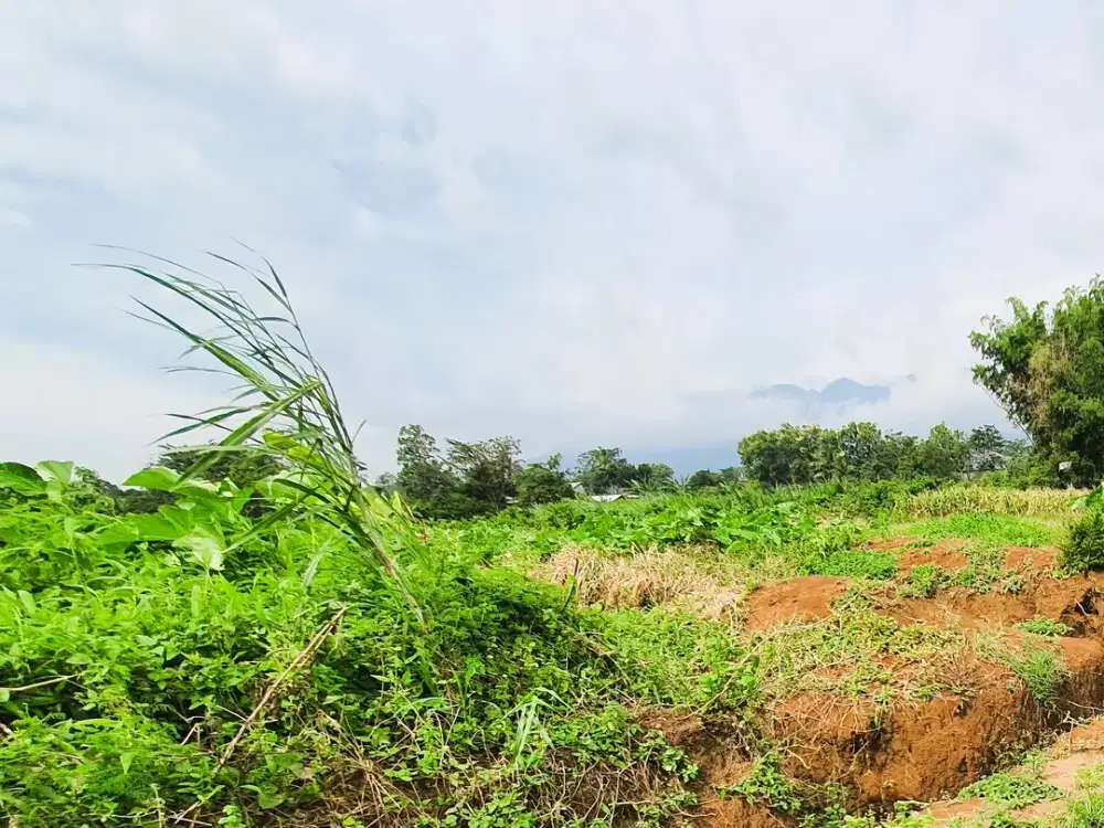 Dijual Tanah Sumbersekar Dau Malang