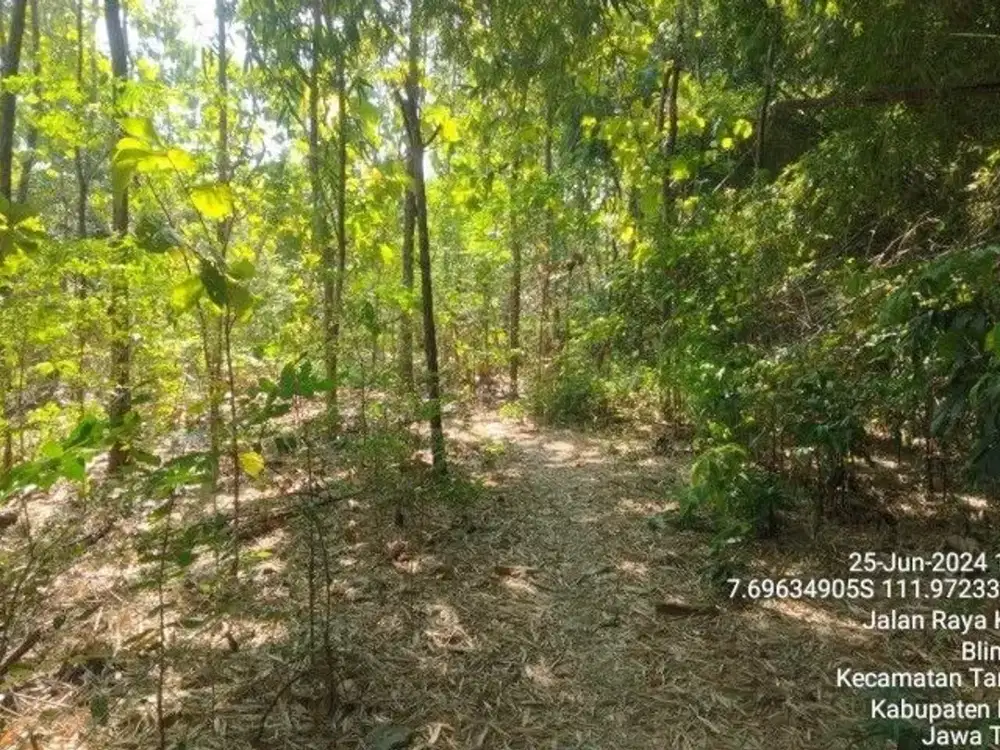 Tanah Kelurahan Blimbing Kec Tarokan Kab Kediri
