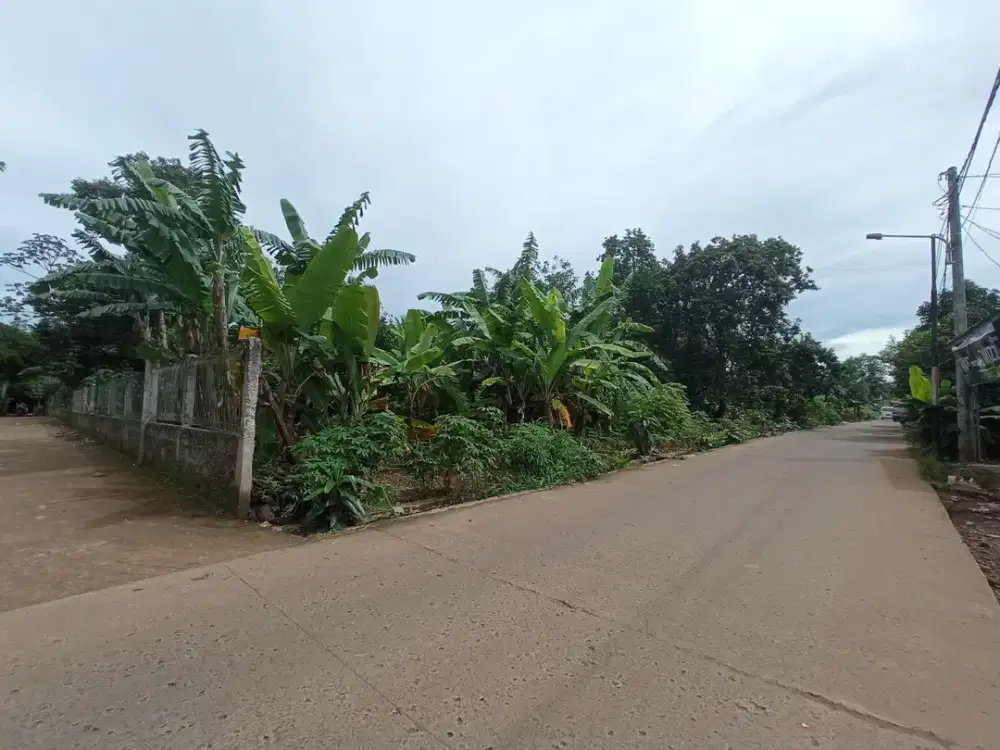Dekat Stasiun Parung Panjang - Tanah Cisauk Dijual 1jt-an