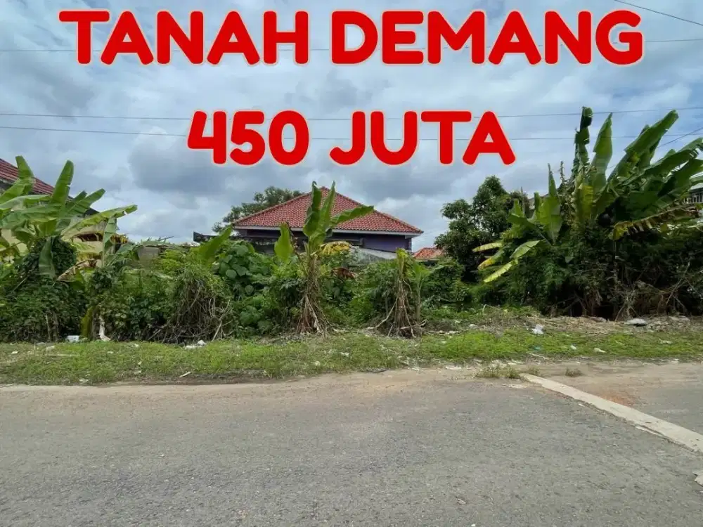 JUAL CEPAT TANAH DEMANG POSISI HOOK