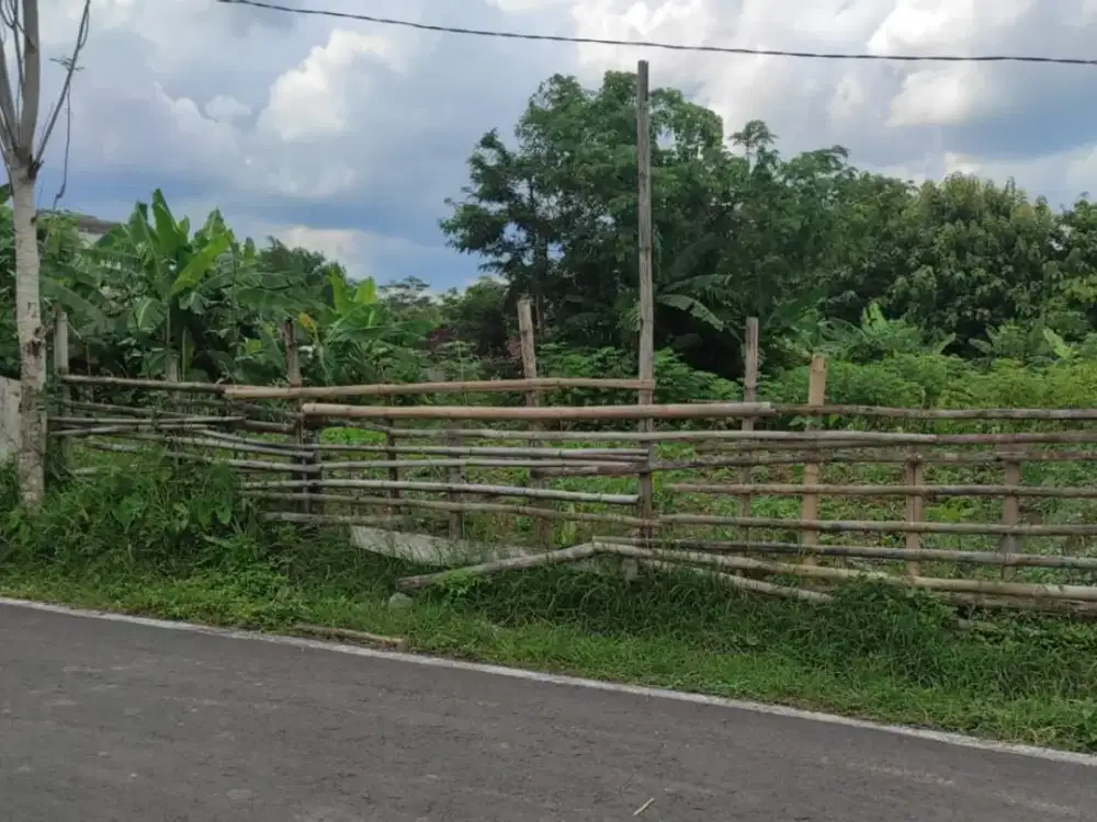Pekarangan Murah Solokota Dekat UNS