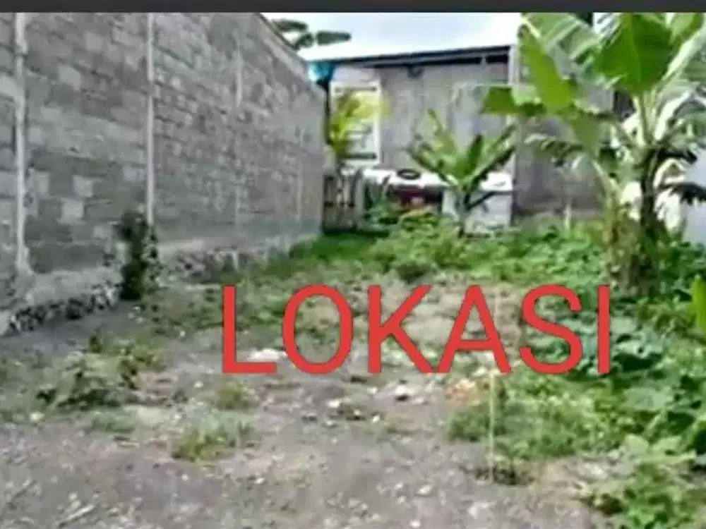 TANAH MURAH DI DENPASAR TIMUR, LUAS 1 ARE(100M2)