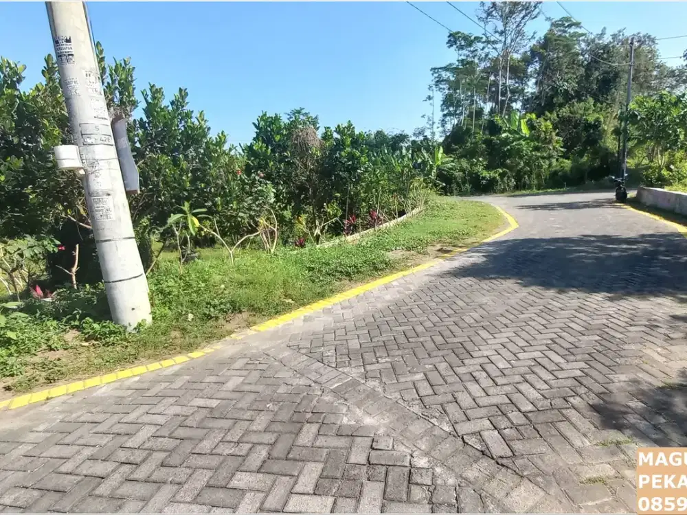 tanah dijual deket jl. Tajam bisa dicicil 12x Banyak Di Cari