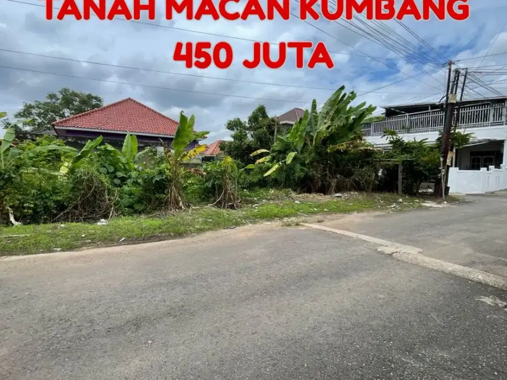 JUAL CEPAT TANAH MACAN KUMBANG PALEMBANG