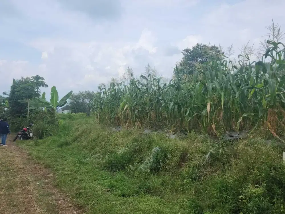 Segera Miliki Zona Kampus Akses Jalan Utama