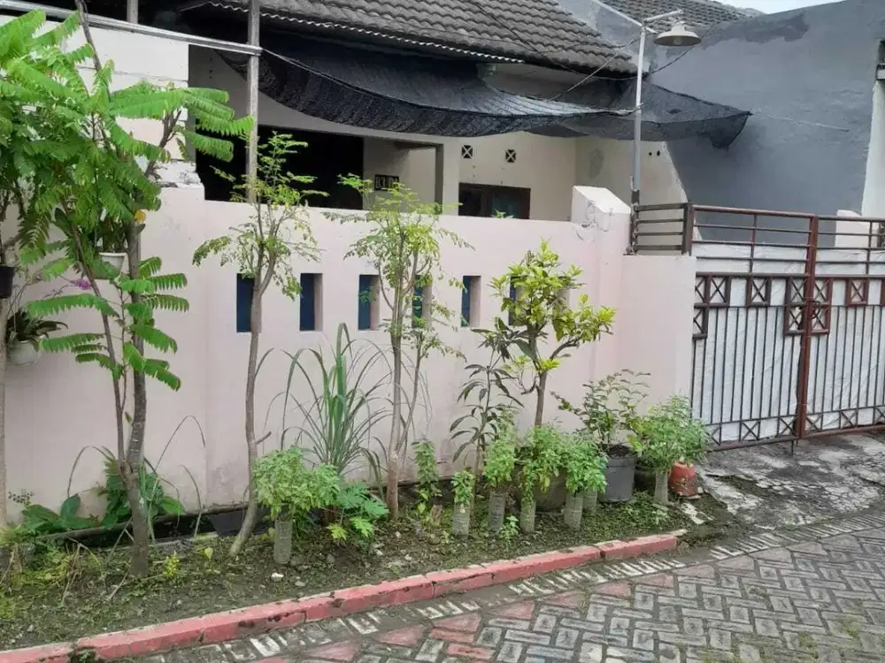 Dijual Rumah Murah Perum Bukit Cemara Wangi - Gresik