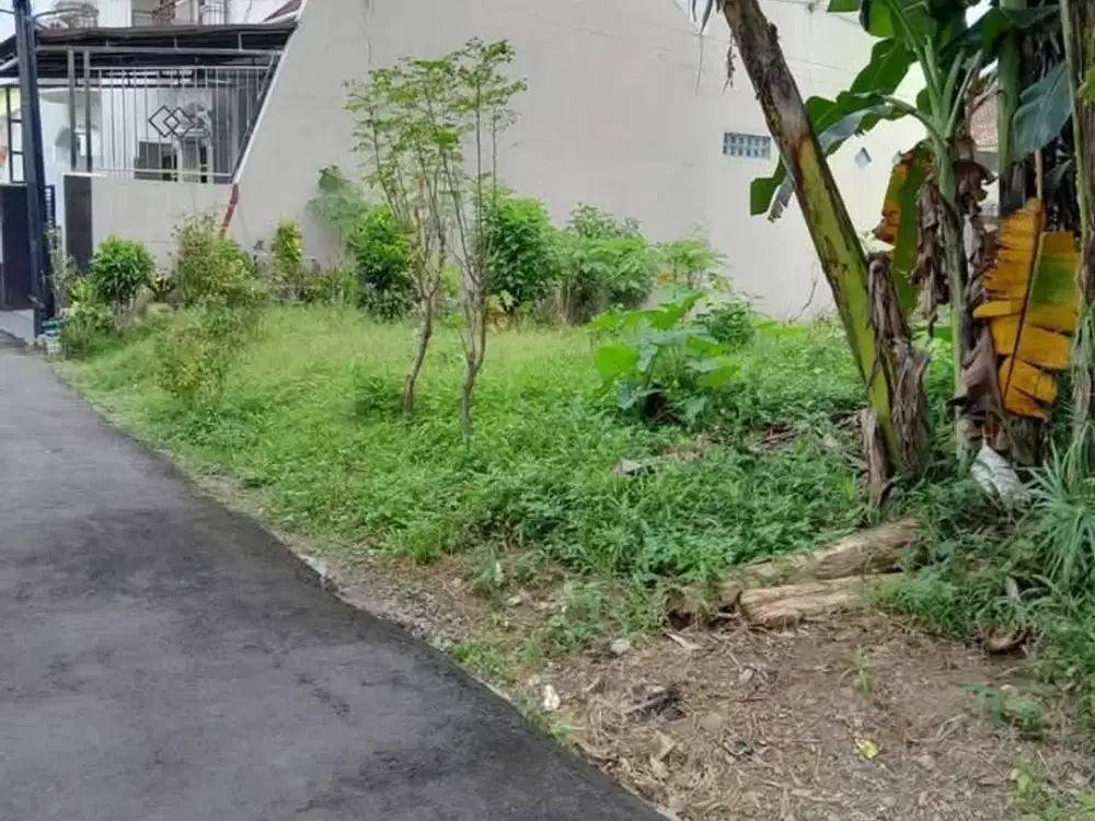Tanah Strategis Dekat Kampus UNSOED