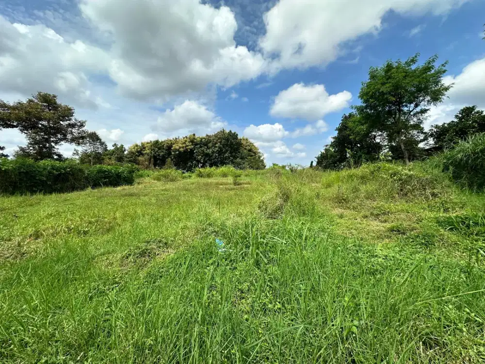 Dijual Cepat Tanah Luas 3Ha Poros Jalan dekat Kampus UIN 3 Dau Malang