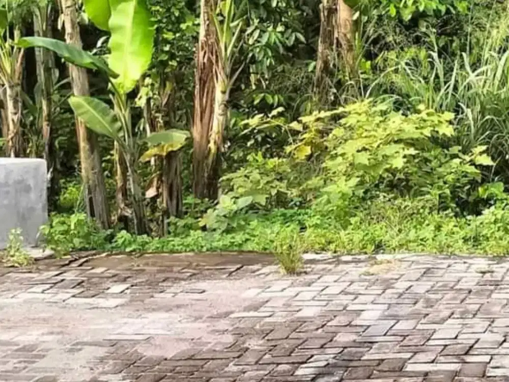 Disewakan Tanah 2000m Timur Jakal km 10