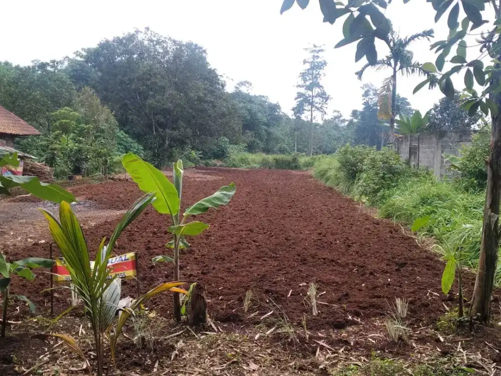 Dekat Stasiun Cisauk & BSD - Dijual Kavling Murah, Legalitas Aman