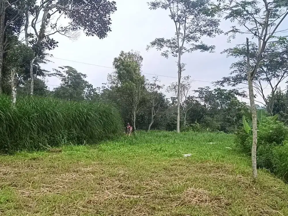 Dijual tanah pekarangan sejuk siap dibangun