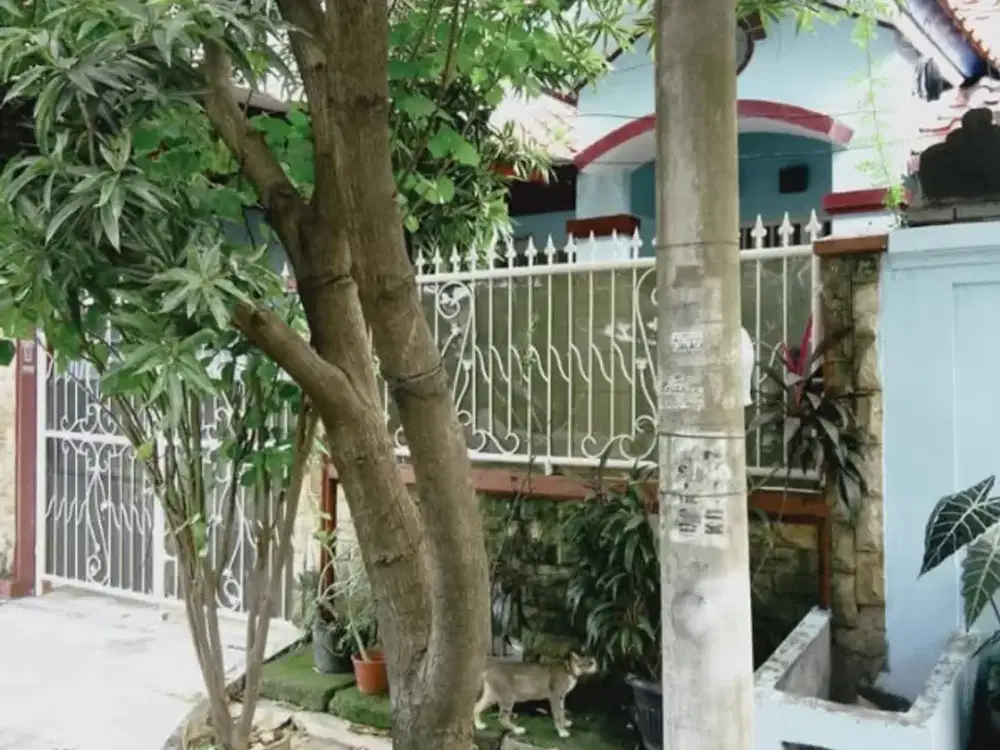 Dijual Cepat Murah Siap Huni