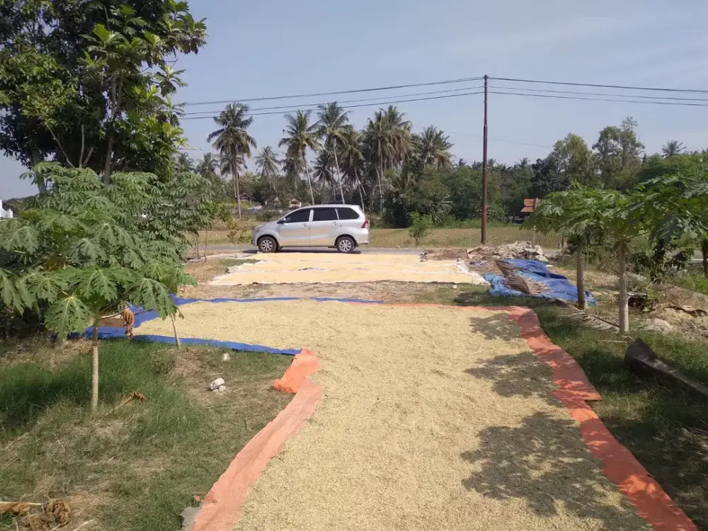 TANAH MURAH DI SRANDAKAN BANTUL JOGJA