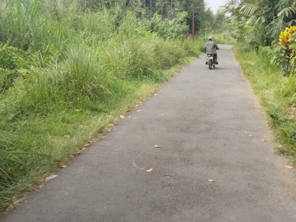Disewakam Tanah 1100m Donoharjo Ngsglik Sleman