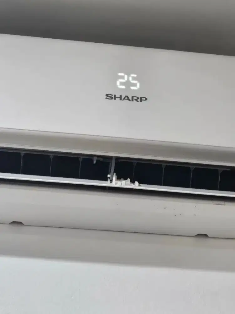 AC Sharp 1 PK ready