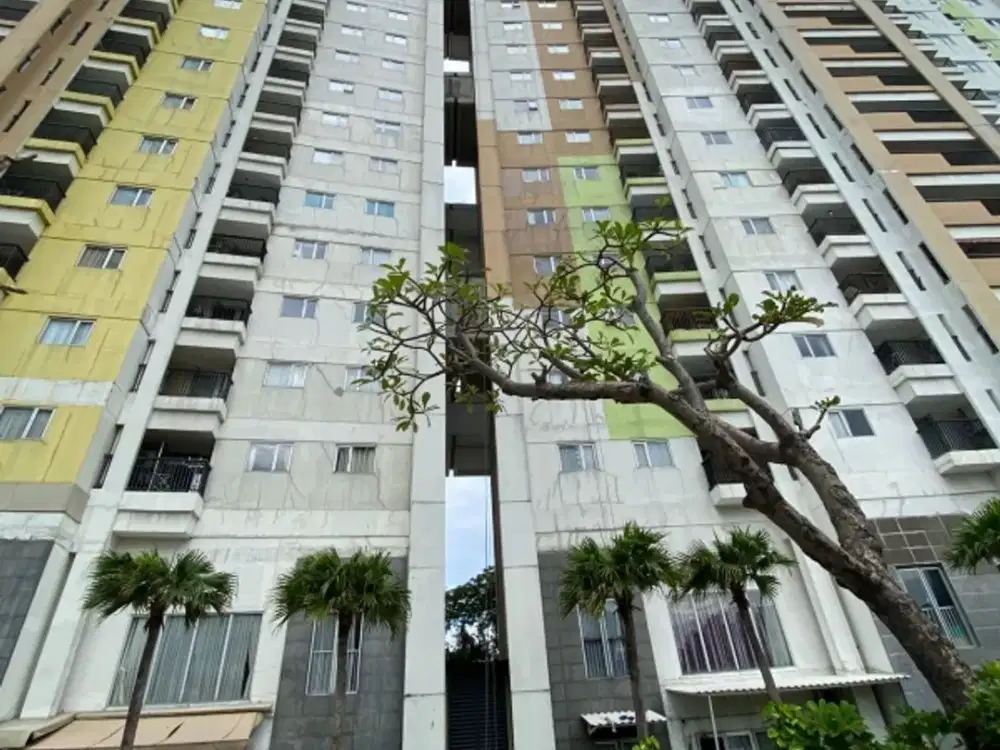 Apartement dijual 1 kamar tidur furnished di The Wave Coral Sand
