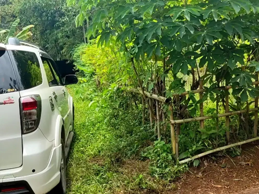 Dijual tanah kebun luas 600 M2 nempel jalan Desa di Rumpin