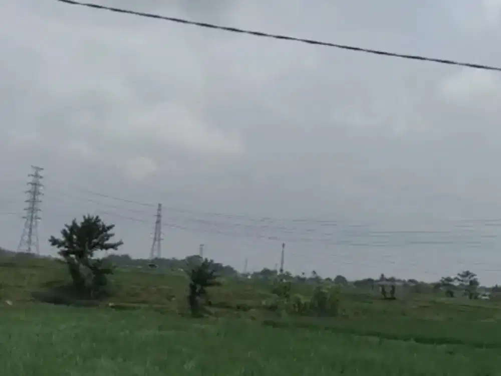 Dijual Tanah Sawah   di karawang