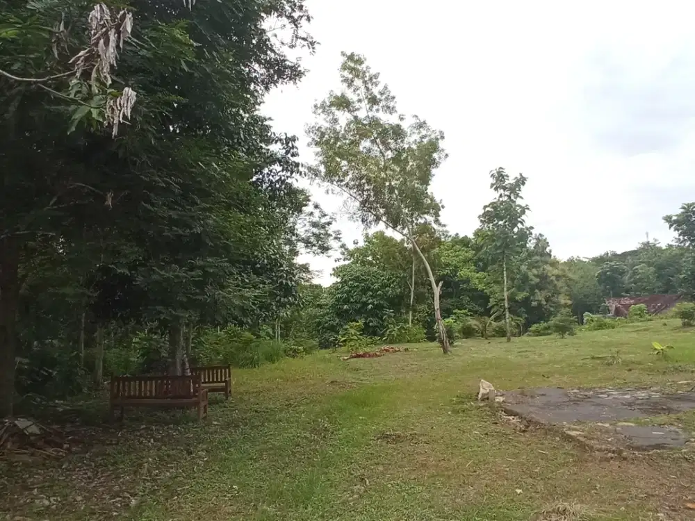 Tanah Siap AJB Notaris 2 Jutaan/m Balecatur Gamping