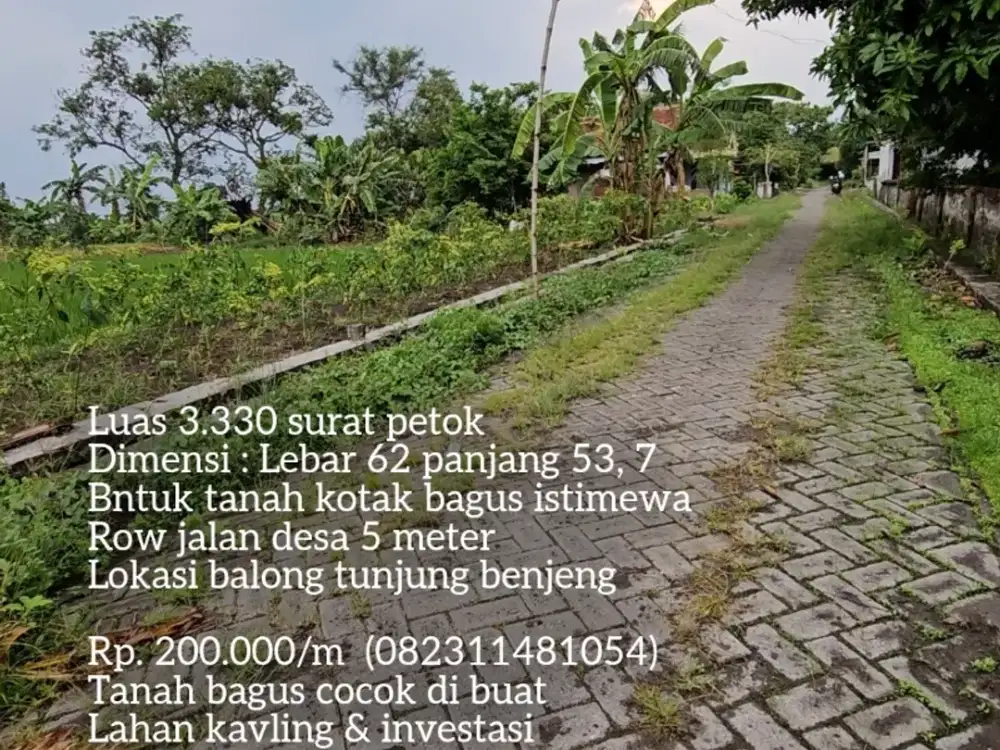 Tanah pekarangan benjeng gresik jatim