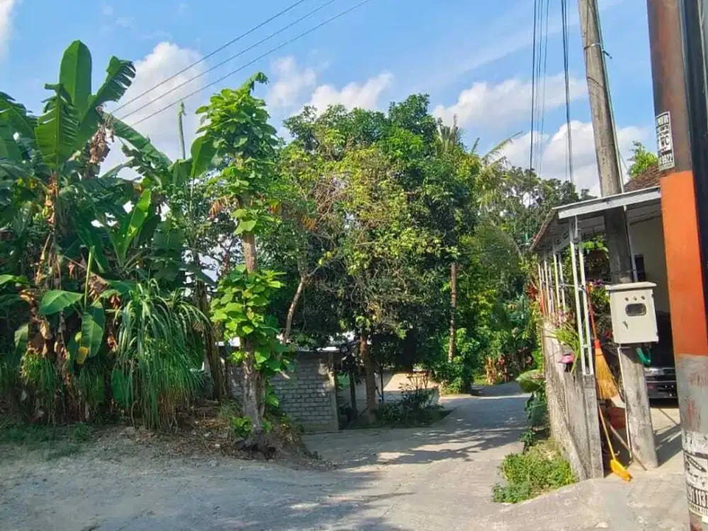 TANAH MURAH STRATEGIS DEKAT KAMPUS UMY TAMANTIRTO KASIHAN BANTUL YOGYA